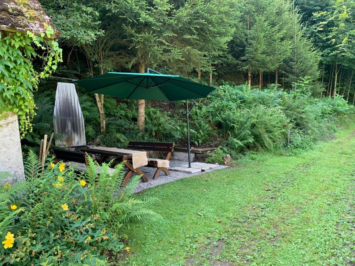 Hörnleberg - Stubenhof, Black Forest Simonswald Exterior foto